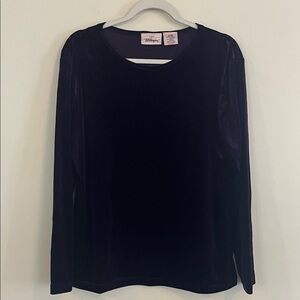 Vintage Worthington Purple Velvet Long Sleeve Top Whimsigoth Witchy Fall Holiday